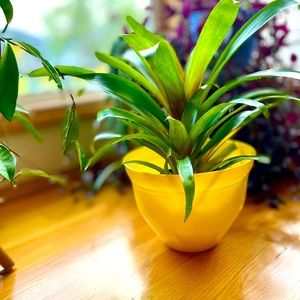 💛 NWT Yellow 10” Planter Flower Pot 💛